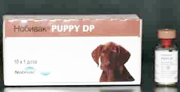 Нобивак  Puppy DP (Nobivac)