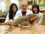 Целый зоопарк животных поселился в киевской психбольнице