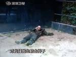 В китайском зоопарке посетитель загрыз страуса