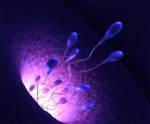 Немецкий ученый создал из спермы первого биоробота