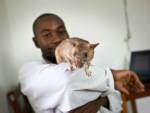 Гигантских крыс обучили вынюхивать туберкулёз