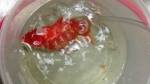 Ветеринар удалил опухоль мозга у золотой рыбки