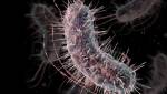 Бактерии научили диагностировать рак и диабет