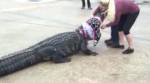 Заблудившегося аллигатора обнаружили на парковке