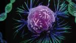 Обнаруженные молекулярные часы подскажут время наступления рака