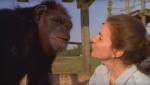 Шимпанзе узнали зоолога, которая освободила их из клетки 20 лет назад