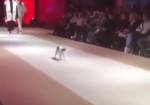 Бездомная кошка научила моделей ходить по подиуму во время показа