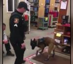 Знакомство полицейской собаки с сапогами для лап рассмешило пользователей сети