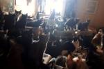 В канадской квартире нашли 300 кошек