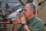 Сквернословящим попугаям запретили показываться на глаза посетителям зоопарка