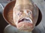 Рыба с «грустным человеческим лицом» напугала жителей тайской деревни
