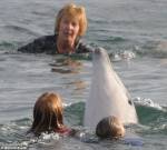 Дельфин по кличке Джордж в очередной раз посетил воды Девонского побережья