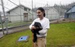 Программа для реабилитации заключенных и кошек 'Cuddly Catz'