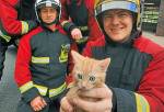 Пожарные спасли маленького котёнка