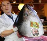 Японский ресторан купил тунца за 1,8 миллиона долларов