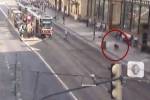 Полиция устроила погоню за кабаном в центре Праги
