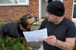 Собаку пригласили голосовать на выборах в парламент