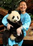 Китай ищет помощника для панд