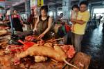 В Китае упал спрос на собачье мясо