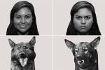 Биологи доказали способность собак читать эмоции