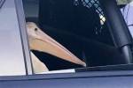 В США полицейские задержали пеликана