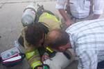 Американские пожарные спасли кошку с помощью маленькой кислородной маски