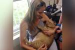 В США 16-килограммовый кот Симба нашел новый дом