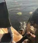 Крокодил прыгнул на лодку с рыбаками