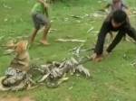 Подростки голыми руками вырвали пса из смертельных объятий змеи