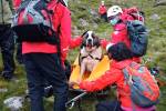 16 спасателей пять часов спускали сенбернара с самой высокой горы Англии