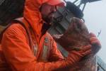Рыбак выловил в море гигантского «подводного монстра» с пугающе большой пастью