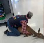 Сотрудница супермаркета поймала оленя среди полок с товарами