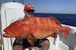 Рыболов поймал групера вдвое крупнее мирового рекорда во время отпуска в Египте
