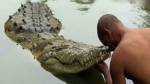 Крокодил поселился среди монахов и стал вегетарианцем